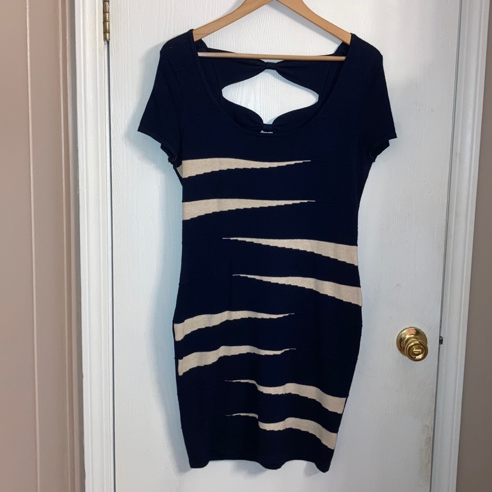Pink rose navy blue sweater dress